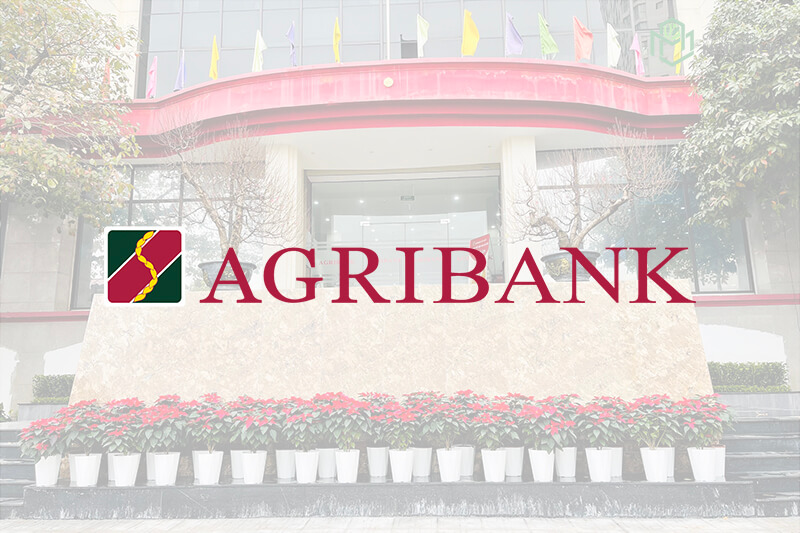 Minh An Viên cung cấp cây xanh khuôn viên chi nhánh Agribank Cầu Giấy - Hà Nội